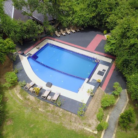 Nice Place Resort Dambulla Zewnętrze zdjęcie