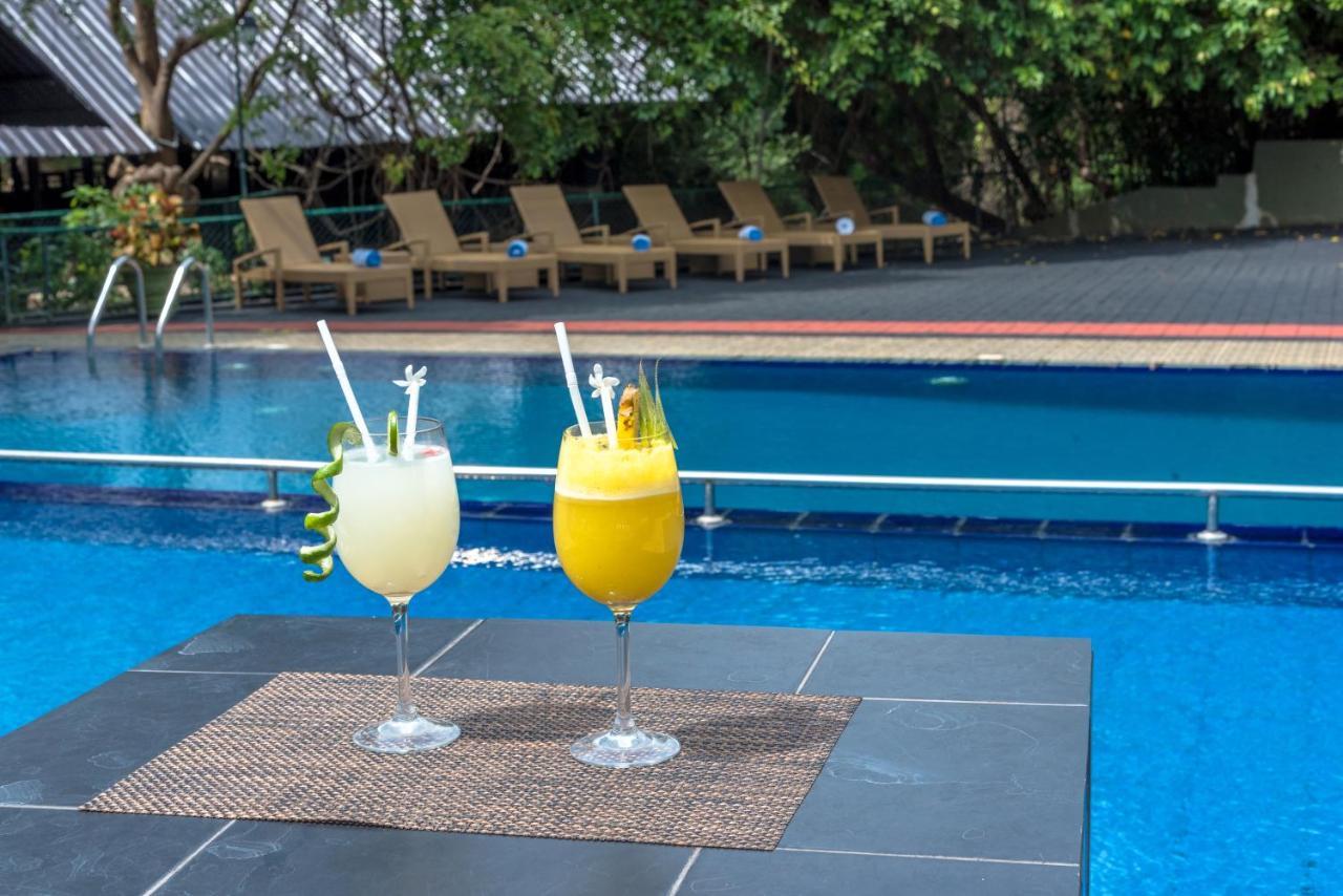 Nice Place Resort Dambulla Zewnętrze zdjęcie