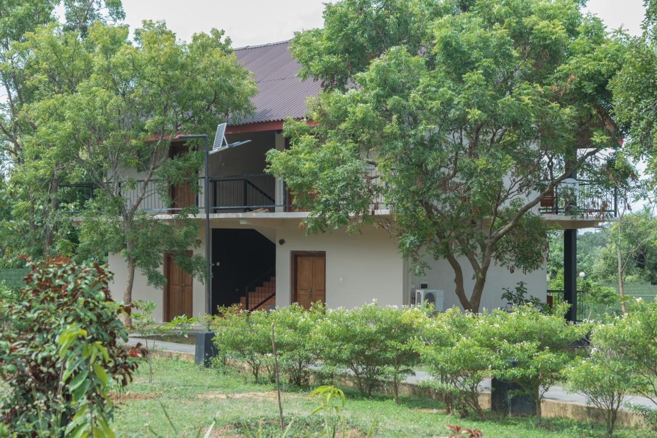 Nice Place Resort Dambulla Zewnętrze zdjęcie