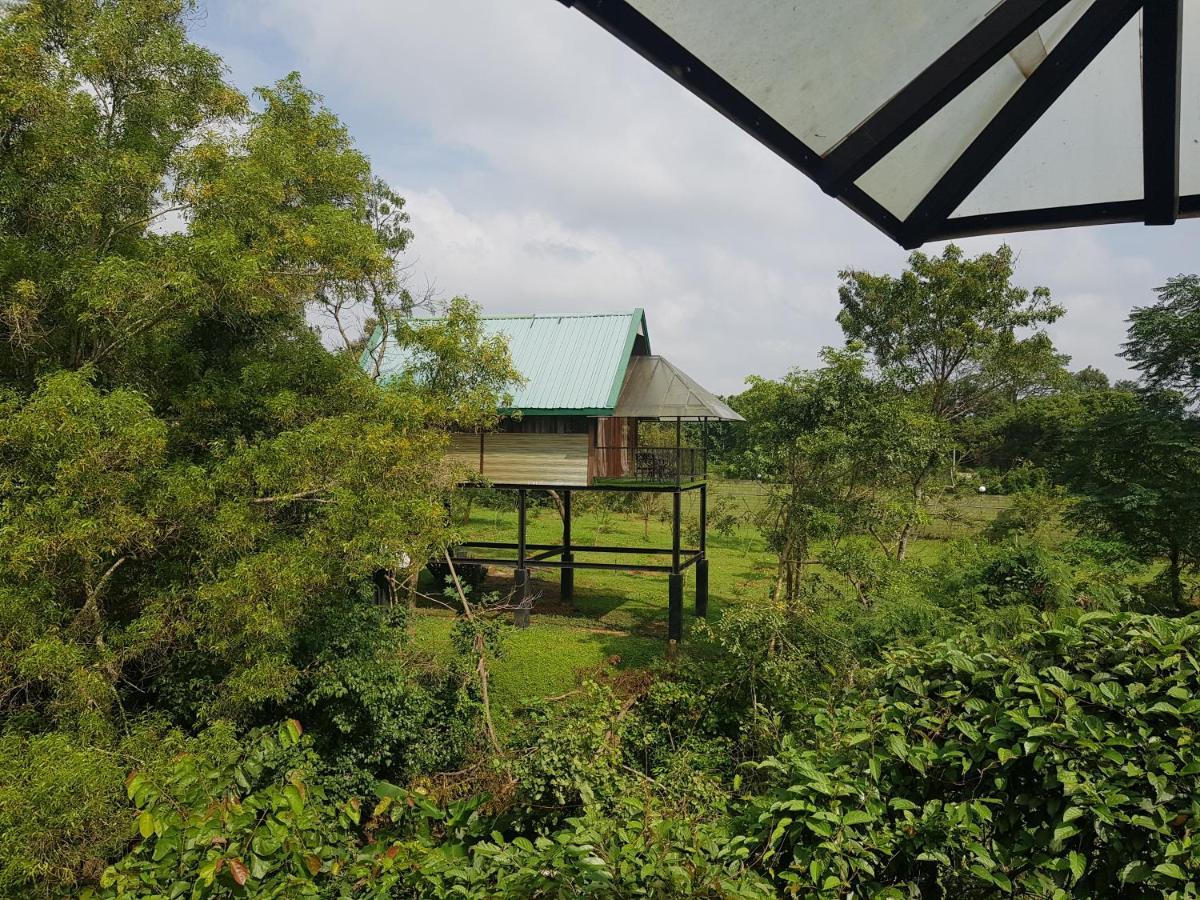 Nice Place Resort Dambulla Zewnętrze zdjęcie
