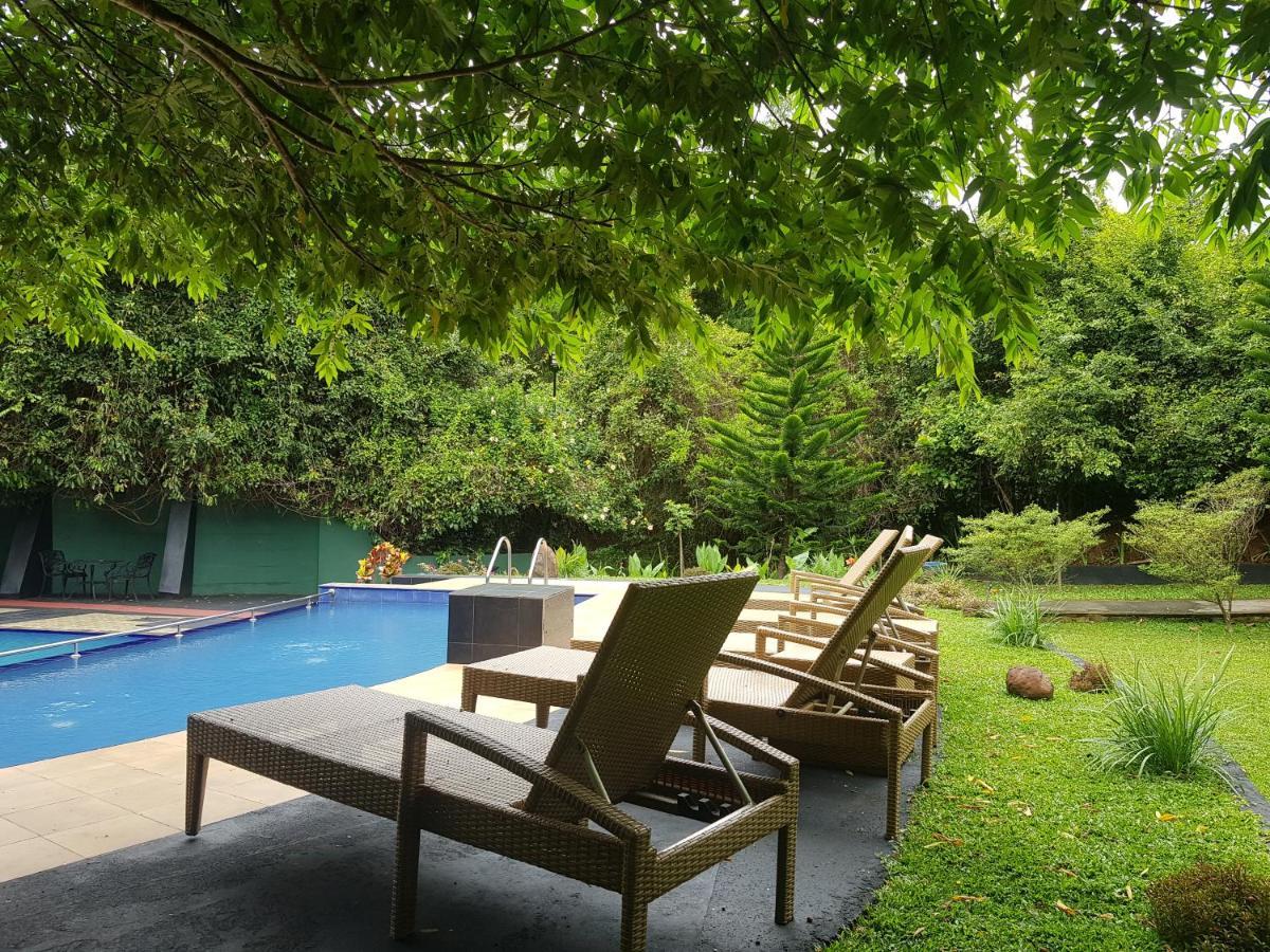 Nice Place Resort Dambulla Zewnętrze zdjęcie