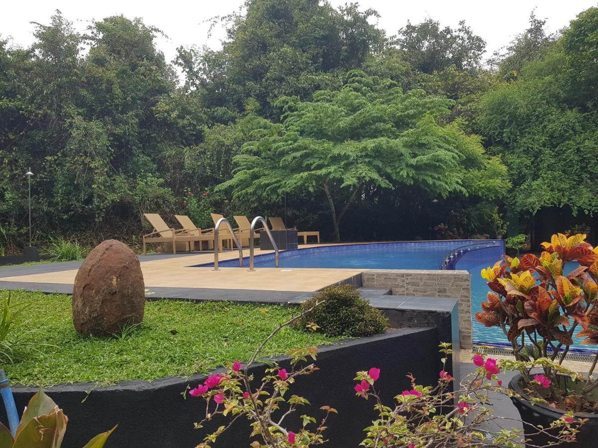 Nice Place Resort Dambulla Zewnętrze zdjęcie