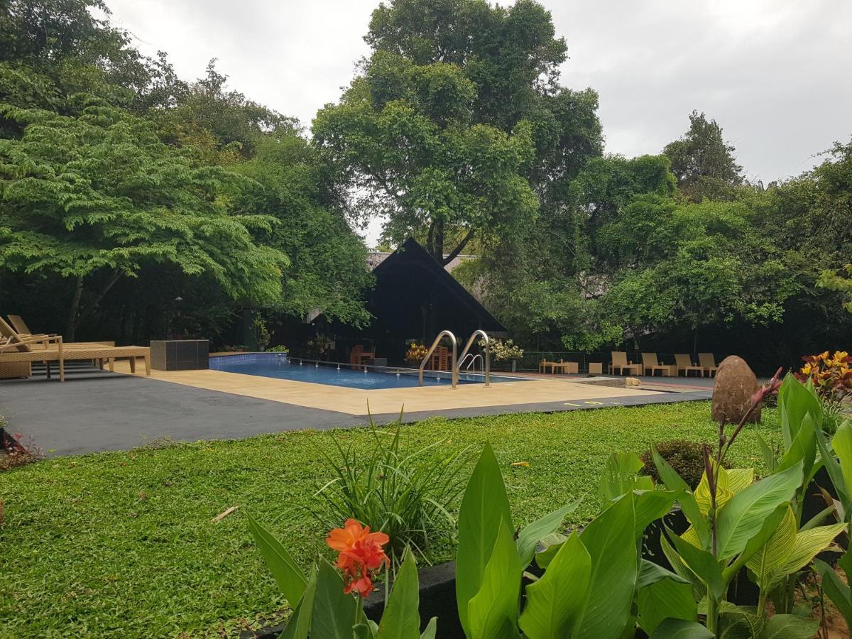 Nice Place Resort Dambulla Zewnętrze zdjęcie
